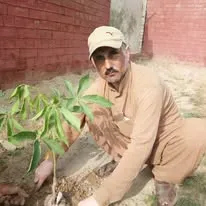 Green Seekers Activity